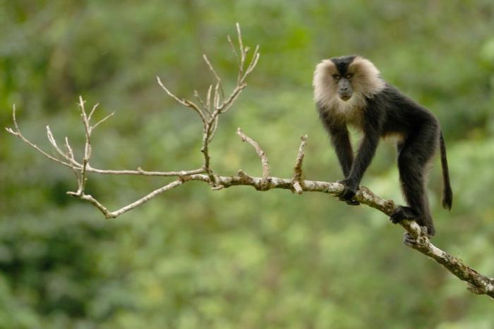 Estos son los paraísos en la Tierra que hay que salvar (FOTOS)