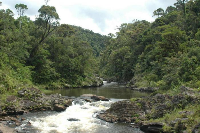 Estos son los paraísos en la Tierra que hay que salvar (FOTOS)