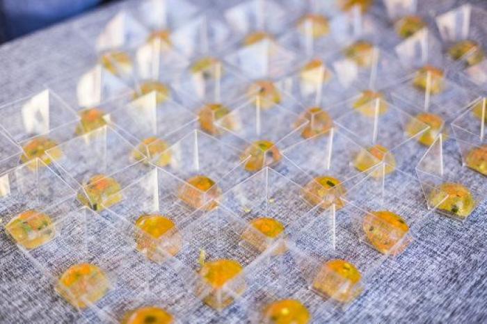 Muere el dibujante Quino, creador de 'Mafalda', a los 88 años