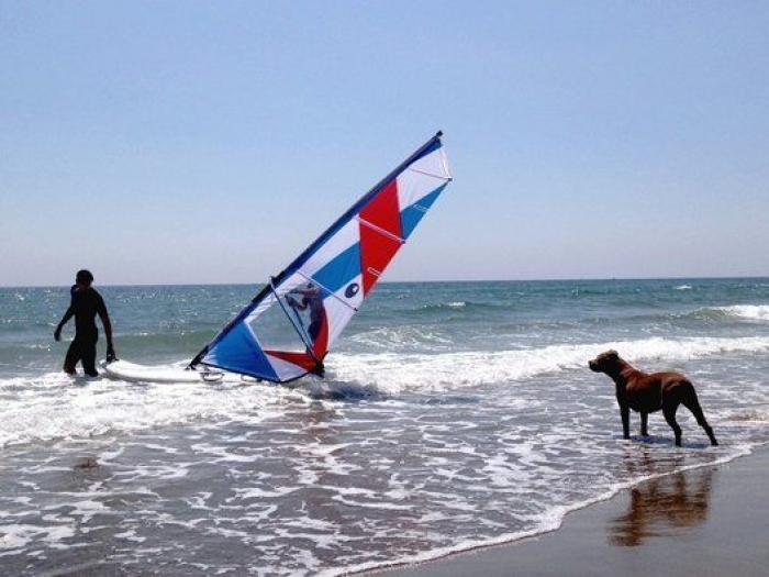 Dion Leonard corre una ultramaratón y una perrita callejera termina con él la carrera