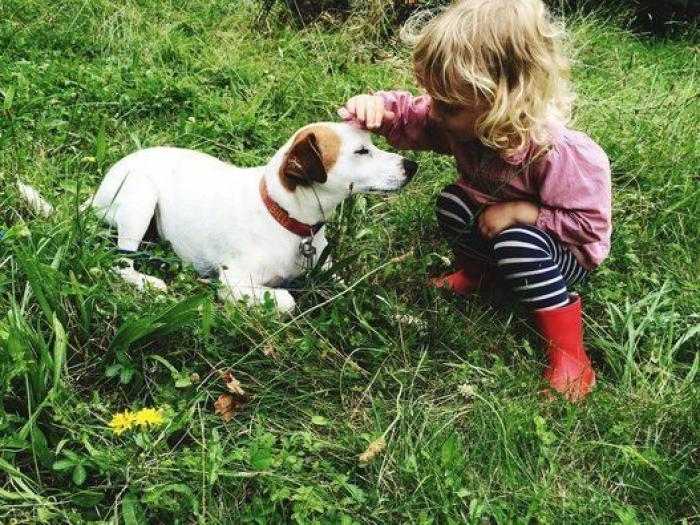 Dion Leonard corre una ultramaratón y una perrita callejera termina con él la carrera