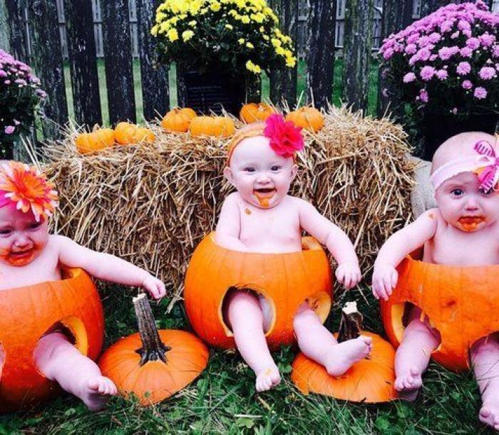 Tutorial para aprender a hacer una calabaza de Halloween (VÍDEO)