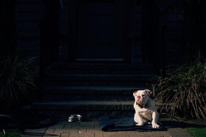 Dion Leonard corre una ultramaratón y una perrita callejera termina con él la carrera