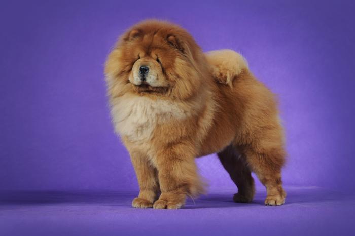 ¿Hasta cuándo va a durar este calor sofocante? Esto dice la Agencia Estatal de Meteorología