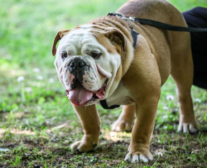 ¿Hasta cuándo va a durar este calor sofocante? Esto dice la Agencia Estatal de Meteorología