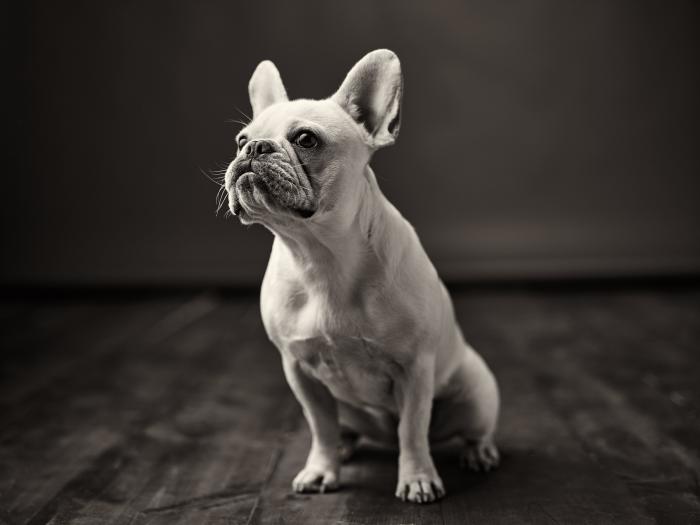 ¿Hasta cuándo va a durar este calor sofocante? Esto dice la Agencia Estatal de Meteorología