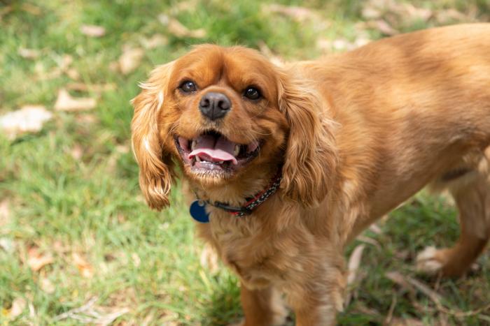 ¿Hasta cuándo va a durar este calor sofocante? Esto dice la Agencia Estatal de Meteorología