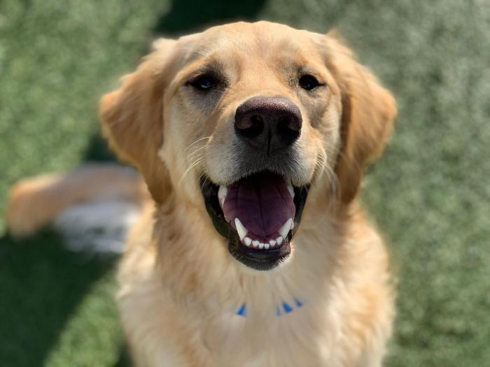 ¿Hasta cuándo va a durar este calor sofocante? Esto dice la Agencia Estatal de Meteorología