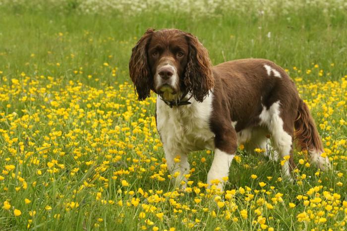 ¿Hasta cuándo va a durar este calor sofocante? Esto dice la Agencia Estatal de Meteorología