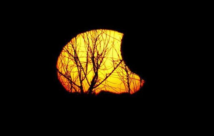 Eclipse parcial de Sol en EEUU: cuando la Luna invadió el astro rey (FOTOS)