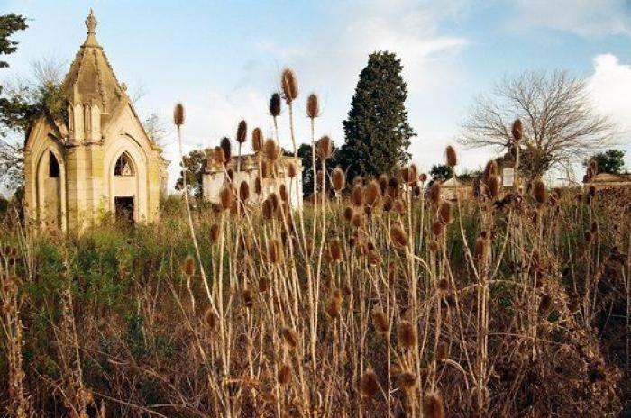 Susto, pero no en el precio: la colección rebajada de Women'secret que te apañará Halloween
