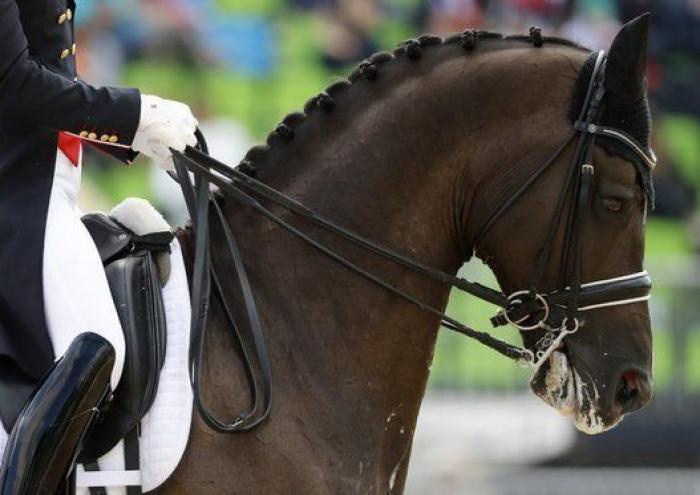 La (casi) inaudita imagen de dos nadadoras tocando la pared exactamente al mismo tiempo