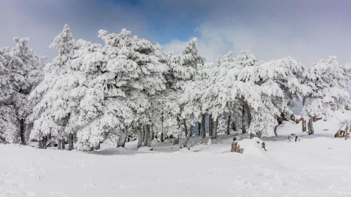 10 fotos que demuestran que Madrid merece la pena