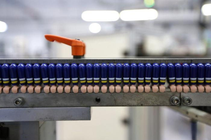 21 curiosidades de Playmobil para amantes de los 'clicks'