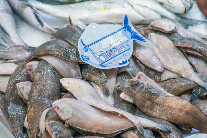 Cómo evitar que ciertas bacterias nos amarguen el verano