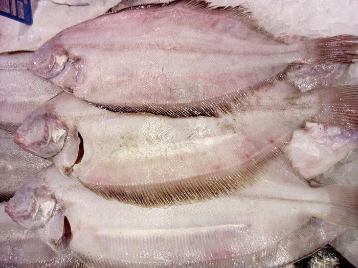 Cómo evitar que ciertas bacterias nos amarguen el verano