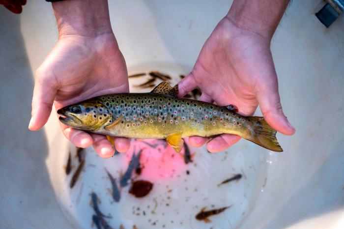 Cómo evitar que ciertas bacterias nos amarguen el verano