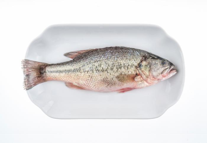 Cómo evitar que ciertas bacterias nos amarguen el verano