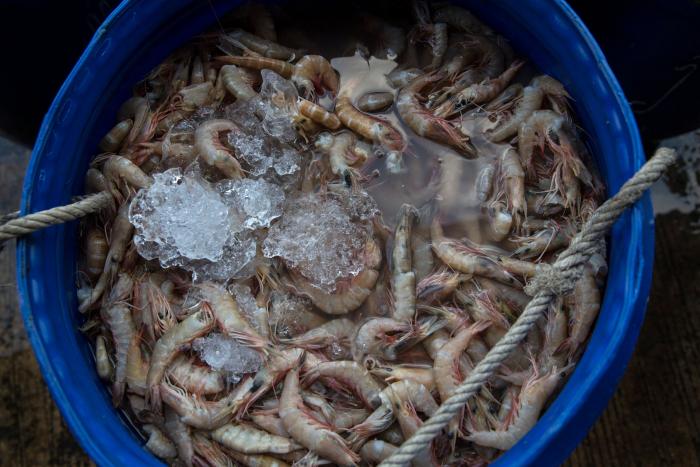 Cómo evitar que ciertas bacterias nos amarguen el verano