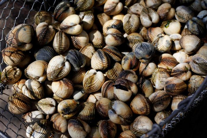 Cómo evitar que ciertas bacterias nos amarguen el verano