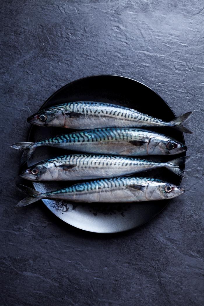 Cómo evitar que ciertas bacterias nos amarguen el verano