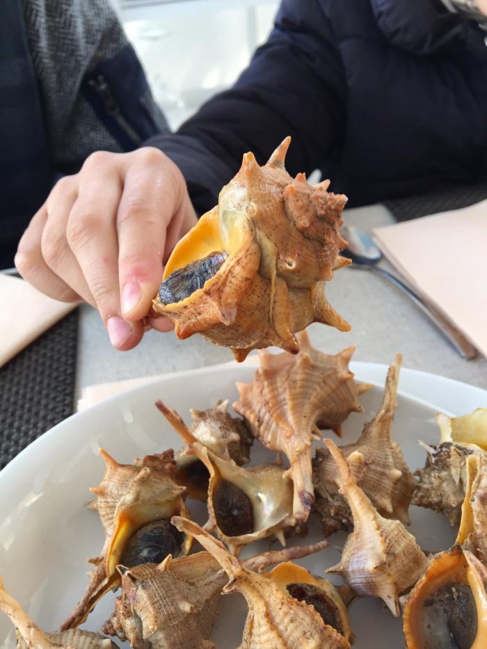 Cómo evitar que ciertas bacterias nos amarguen el verano