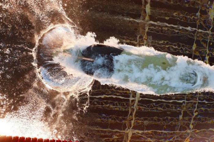 Las imágenes más espectaculares que nos dejaron los Juegos de Río