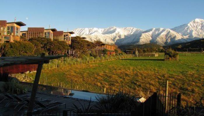 Ovejas de "bajas emisiones" y precio al CO2 de los alimentos: así combate Nueva Zelanda el cambio climático