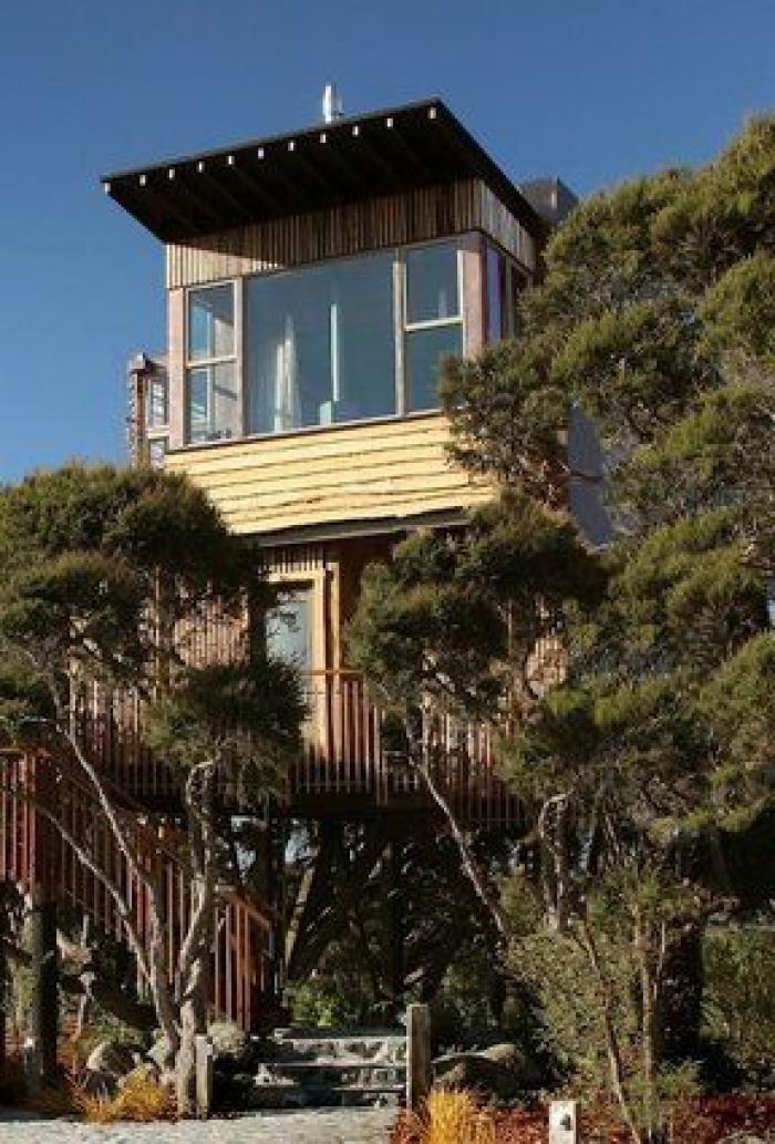 Ovejas de "bajas emisiones" y precio al CO2 de los alimentos: así combate Nueva Zelanda el cambio climático