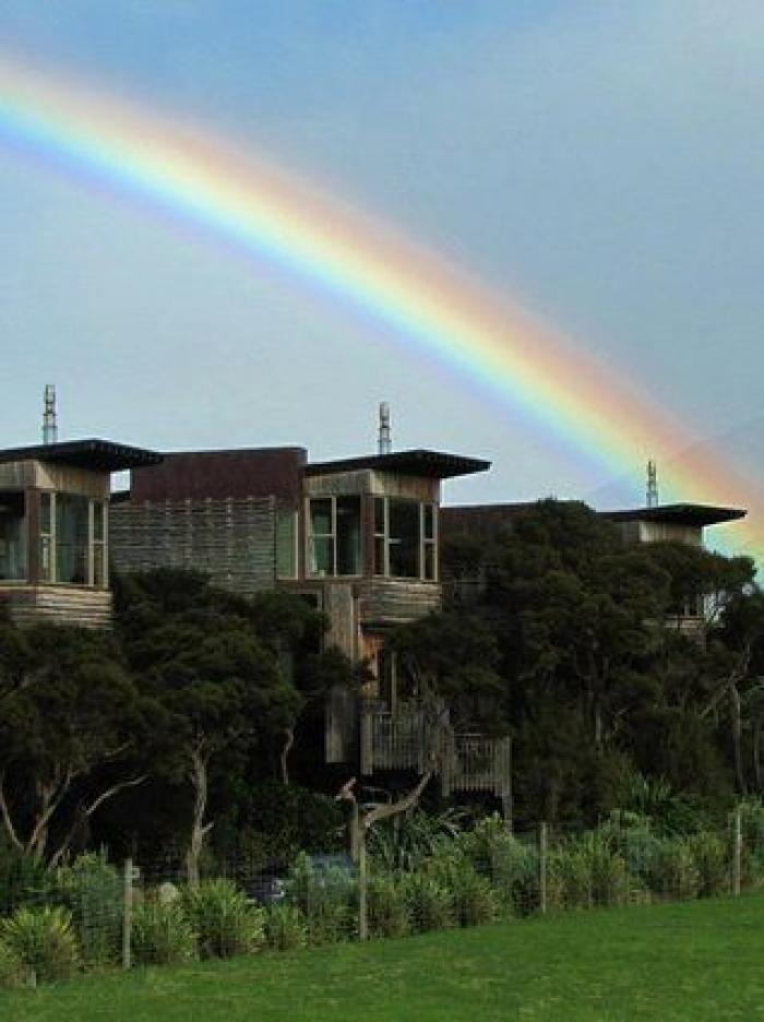 Ovejas de "bajas emisiones" y precio al CO2 de los alimentos: así combate Nueva Zelanda el cambio climático