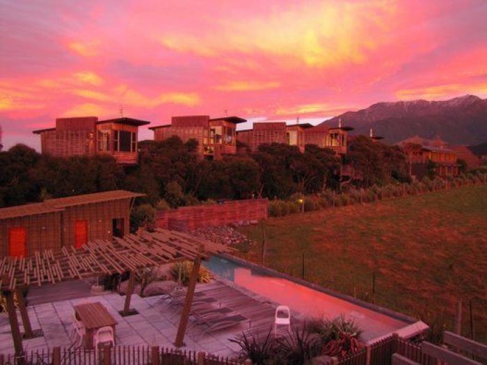 Ovejas de "bajas emisiones" y precio al CO2 de los alimentos: así combate Nueva Zelanda el cambio climático