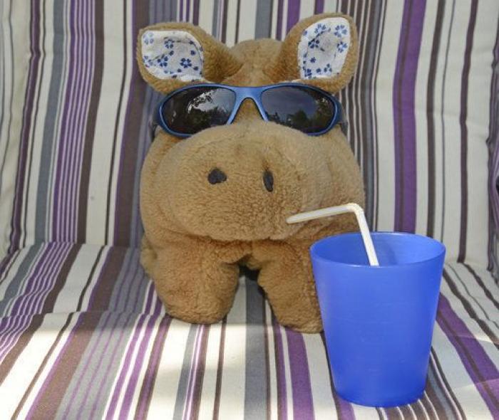 Cacas por correo, vacaciones para peluches, cerveza para perros y otros negocios raros (FOTOS)