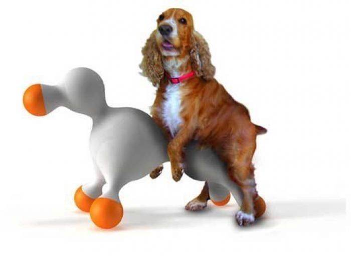 Cacas por correo, vacaciones para peluches, cerveza para perros y otros negocios raros (FOTOS)