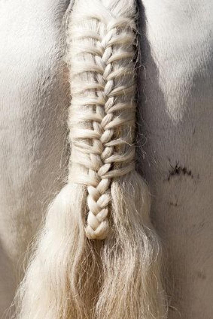 Cacas por correo, vacaciones para peluches, cerveza para perros y otros negocios raros (FOTOS)