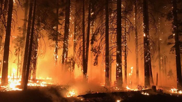 La foto sobre los incendios de California que no te debes creer