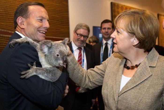 ¿Qué tendrá el koala? Líderes políticos de todo el mundo se posan con él (FOTOS)