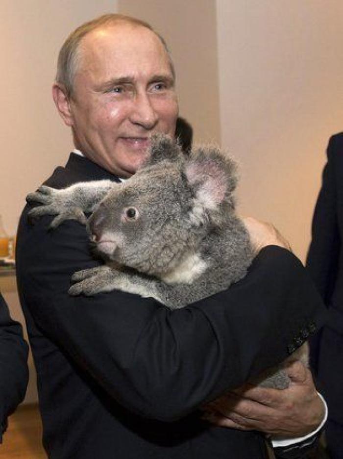 ¿Qué tendrá el koala? Líderes políticos de todo el mundo se posan con él (FOTOS)