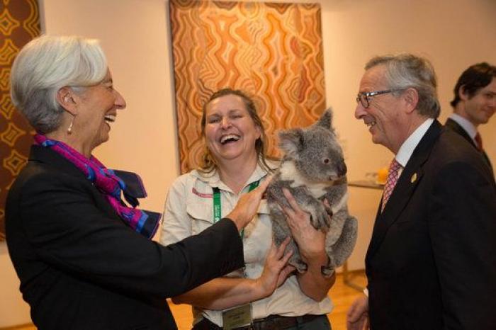 ¿Qué tendrá el koala? Líderes políticos de todo el mundo se posan con él (FOTOS)