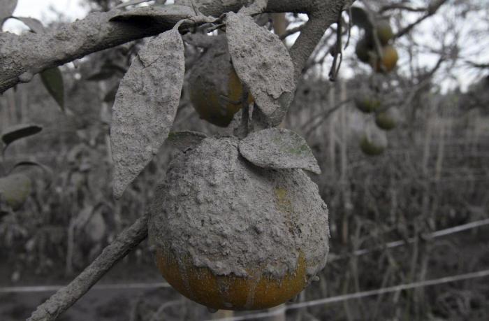Nishinoshima, una isla japonesa, multiplica por cinco su tamaño tras una erupción volcánica (FOTO)