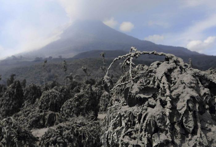 Nishinoshima, una isla japonesa, multiplica por cinco su tamaño tras una erupción volcánica (FOTO)