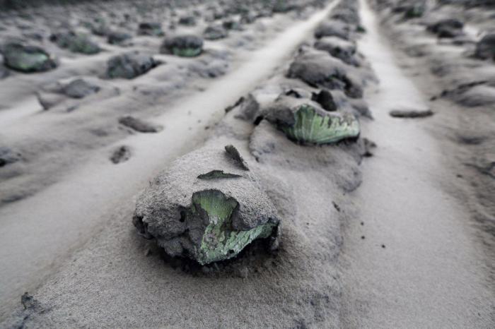 Nishinoshima, una isla japonesa, multiplica por cinco su tamaño tras una erupción volcánica (FOTO)
