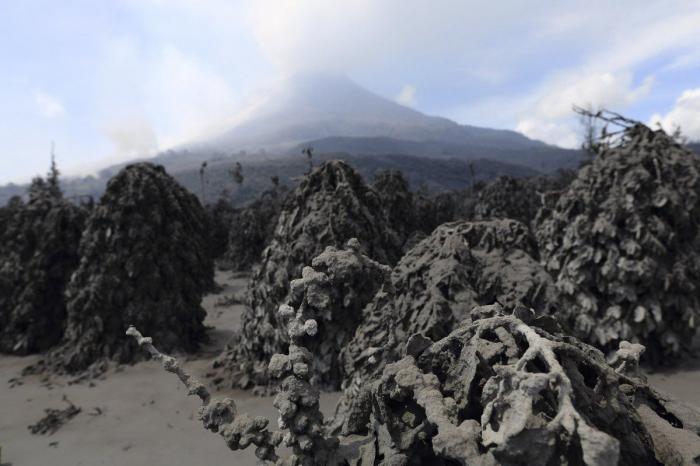 Nishinoshima, una isla japonesa, multiplica por cinco su tamaño tras una erupción volcánica (FOTO)