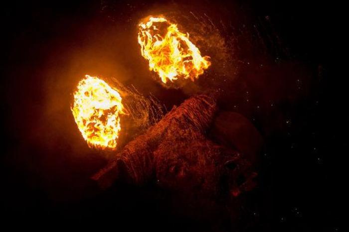 Incidentes y cuatro detenidos durante el 'Toro de Júbilo' de Medinaceli (FOTOS)