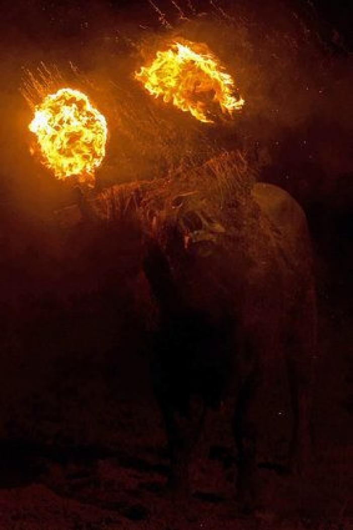 Incidentes y cuatro detenidos durante el 'Toro de Júbilo' de Medinaceli (FOTOS)