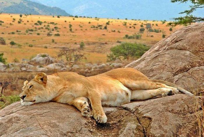 'The New York Times' recomienda viajar a Madrid y Antequera en 2017