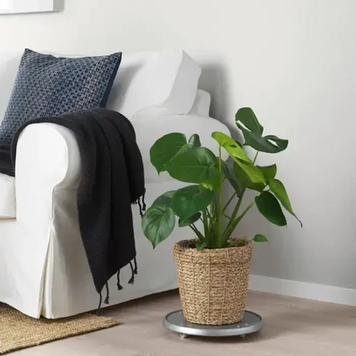 "Buscad en Google Ikea Valladolid": el mensaje viral que desata el cachondeo en redes