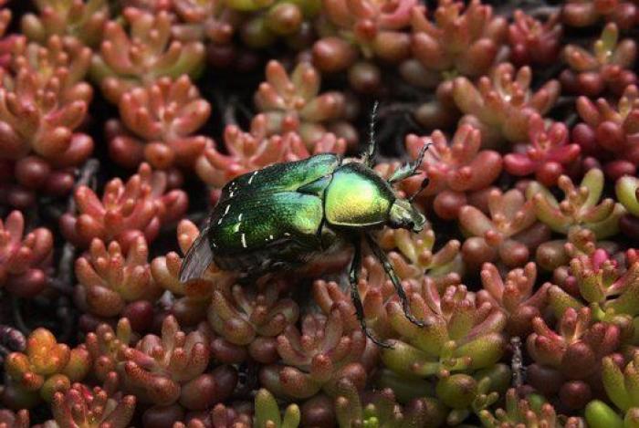 El día de hoy contado en imágenes impactantes