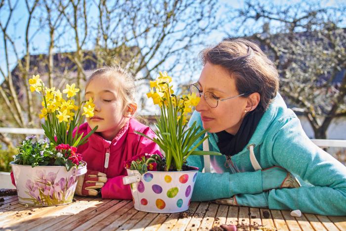 Las plantas que no deberías tener en casa si tienes un gato
