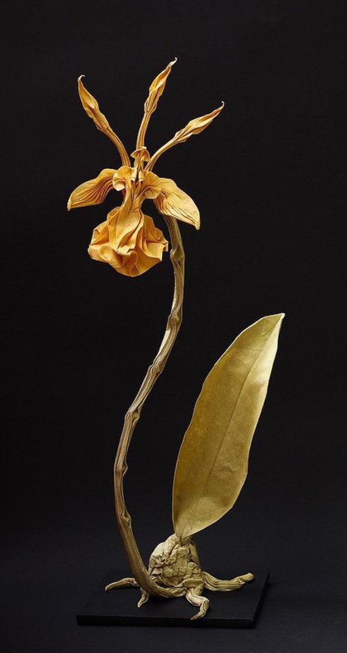 Un microscopio de 50 céntimos que se pliega como origami