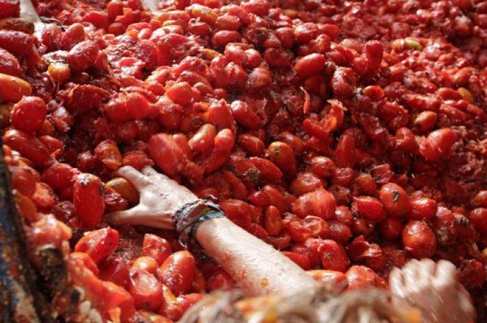 Bañados en tomate: las mejores fotos de la Tomatina 2016